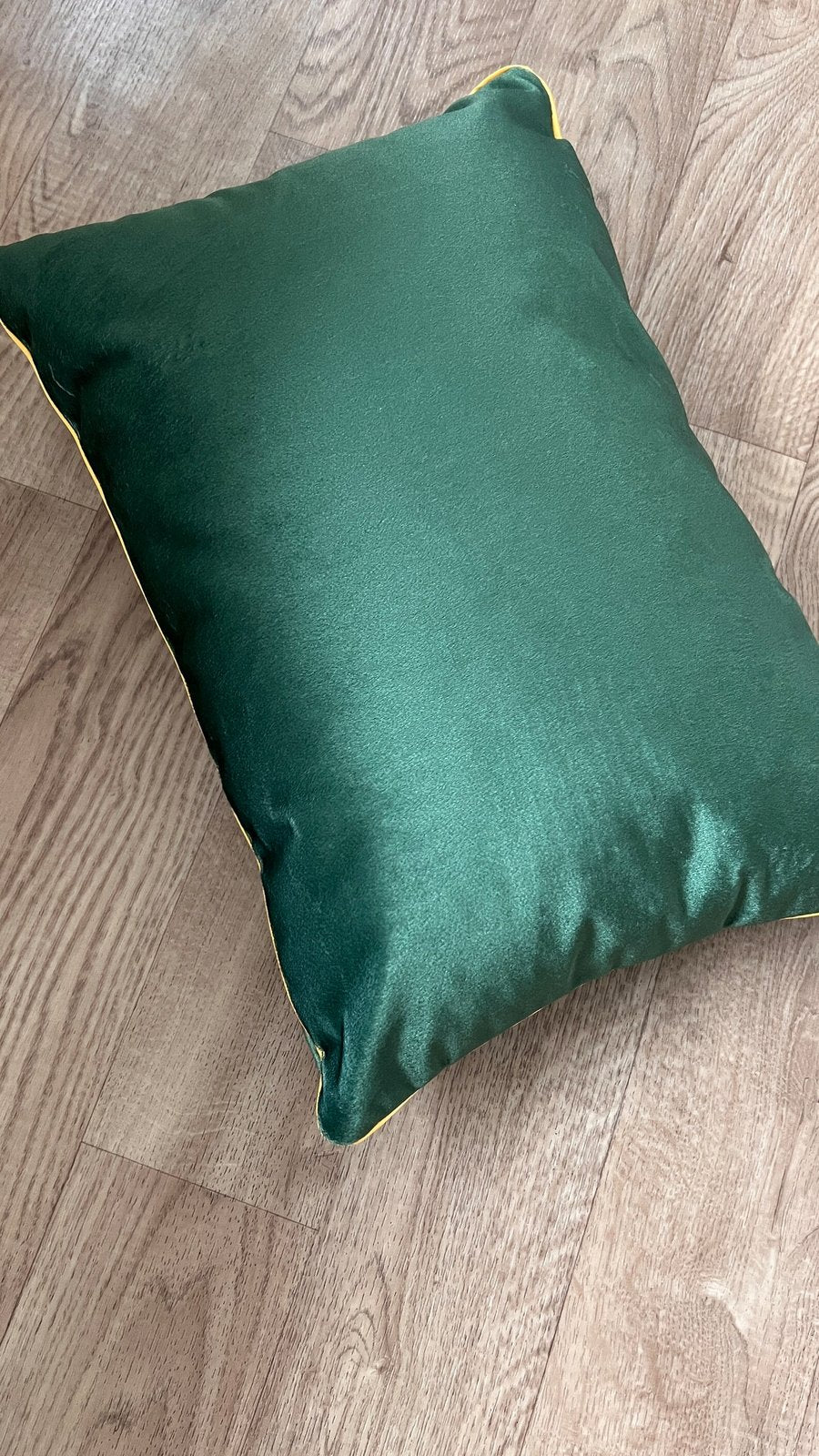 Mona Lisa Velvet Cushion - Friends Monica Geller Inspired Decor