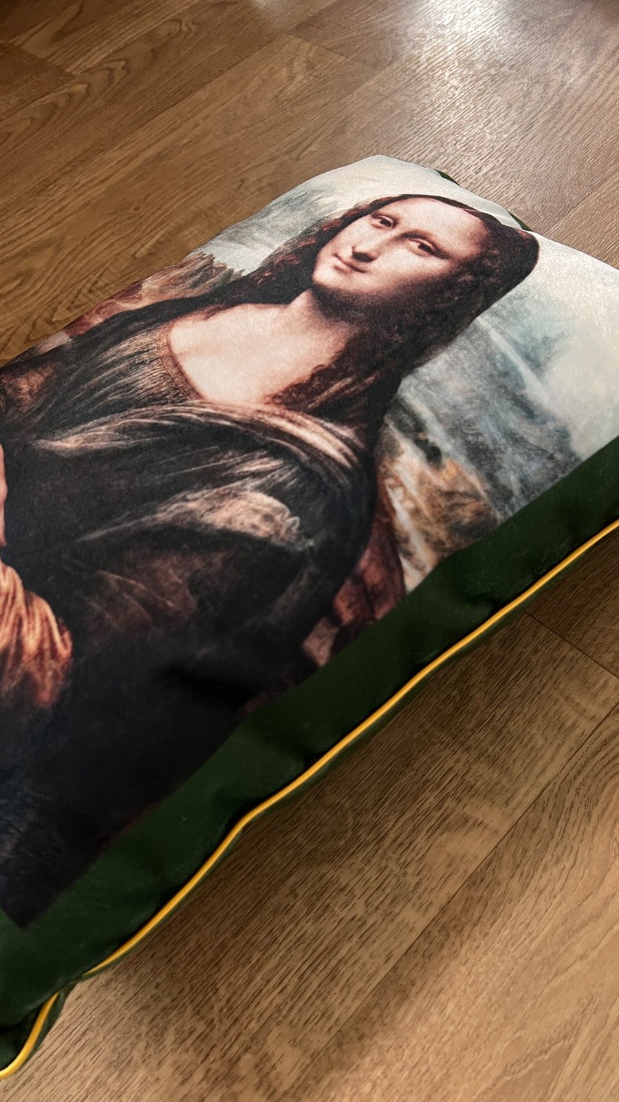 Mona Lisa Velvet Cushion - Friends Monica Geller Inspired Decor