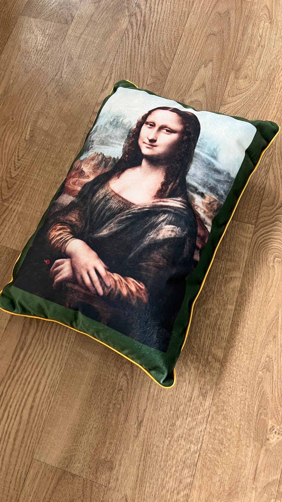 Mona Lisa Velvet Cushion - Friends Monica Geller Inspired Decor
