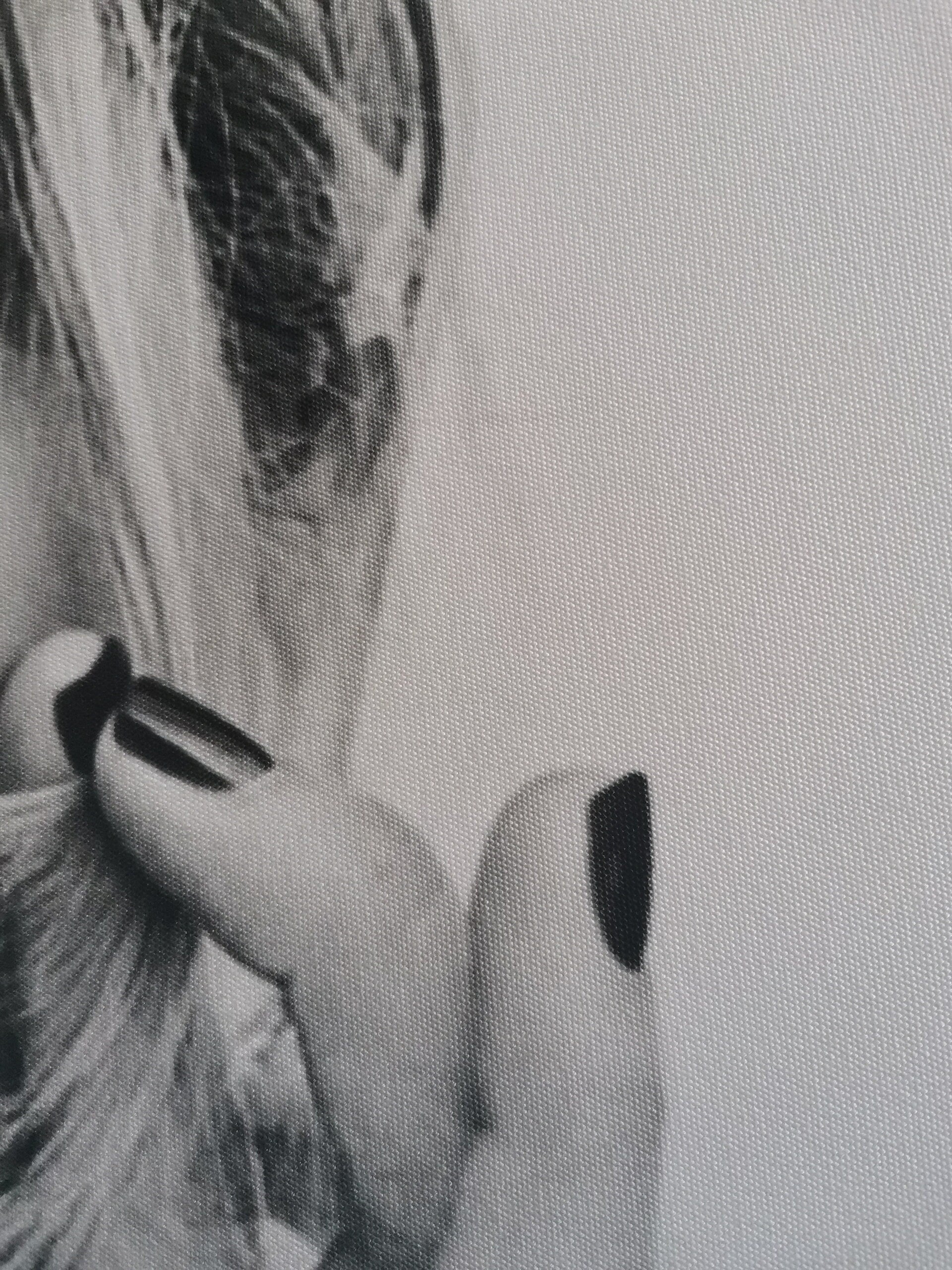 Jennifer Aniston Large Canvas Art - Friends